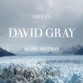 GRAY DAVID  - CD LIFE IN SLOW MOTION