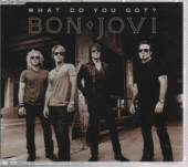  WHAT DO YOU GOT -2TR- - supershop.sk