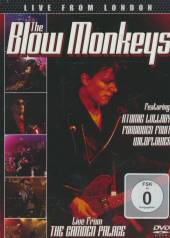 BLOW MONKEYS  - DVD LIVE FROM LONDON