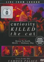 CURIOSITY KILLED THE CAT  - DVD LIVE FROM LONDON [DIGI]