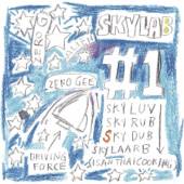 SKYLAB  - CD SKYLAB NO. 1