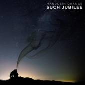  SUCH JUBILEE -LP+CD- [VINYL] - suprshop.cz