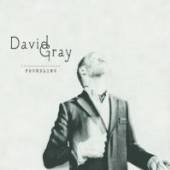 GRAY DAVID  - CD FOUNDLING