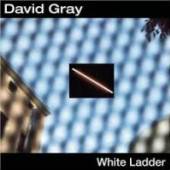 GRAY DAVID  - CD WHITE LADDER