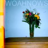 WOAHNOWS  - CD UNDERSTANDING AND..