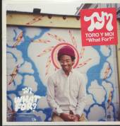 TORO Y MOI  - CD WHAT FOR