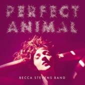 STEVENS BECCA  - CD PERFECT ANIMAL