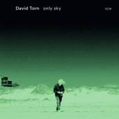 TORN DAVID  - CD ONLY SKY