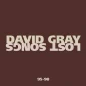 GRAY DAVID  - CD LOST SONGS