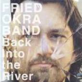 FRIED OKRA BAND  - CD BACK INTO THE RIVER