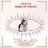MR SPAULDING  - VINYL TWELVE TRIBE OF ISRAEL:.. [VINYL]