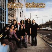 LYNYRD SKYNYRD  - VINYL PRONOUNCED LEH..