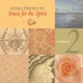 VARIOUS  - CD MUSIC FOR THE SPIRIT V.2