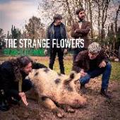 STRANGE FLOWERS  - CD PEARLS AT SWINE