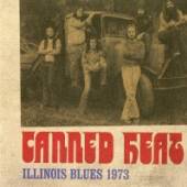  ILLINOIS BLUES 1973 - suprshop.cz