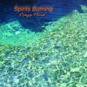 SPIRITS BURNING  - CD CRAZY FLUID