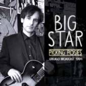 BIG STAR  - CD PICKING POSIES