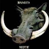 NAVASOTA  - VINYL ROOTIN' [VINYL]