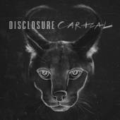 DISCLOSURE  - CD CARACAL