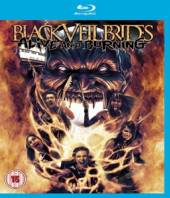  ALIVE & BURNING [BLURAY] - suprshop.cz