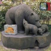 VARIOUS  - 5xCD+DVD 40 YEARS BEAR.. -CD+DVD-