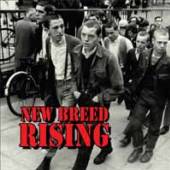 VARIOUS  - CD NEW BREED RISING