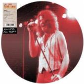  ACCESS ALL AREAS [VINYL] - supershop.sk