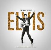  MANY FACES OF ELVIS / FT. ELVIS/RAY CHARLES/FATS DOMINO/CHUCK BERRY + MORE - supershop.sk