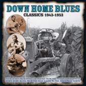  DOWN HOME BLUES CLASSICS - suprshop.cz