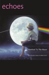 ECHOES  - DVD BAREFOOT TO THE MOON