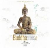 VARIOUS  - CD BUDDHA SOUNDS 7