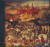 ANGELCORPSE  - CD HAMMER OF GODS