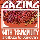 VARIOUS  - CD GAZING WITH TRANQUILITY