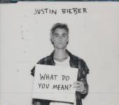  WHAT DO YOU MEAN? (2-TRAC - supershop.sk
