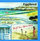 EGGIBRED  - CD POSTCARD FROM THE EGGS