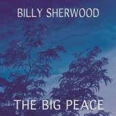 SHERWOOD BILLY  - CD BIG PEACE