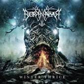 BORKNAGAR  - CD WINTER THRICE