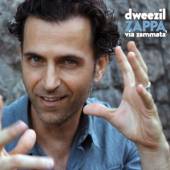 ZAPPA DWEEZIL  - CD VIA ZAMMATA'