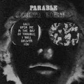 WHITE LIGHT  - CD PARABLE