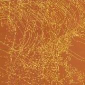  MNEMONIC INDUCTION [VINYL] - supershop.sk