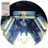  ACCESS ALL AREAS [VINYL] - supershop.sk