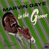 GAYE MARVIN  - VINYL IN THE GROOVE [VINYL]