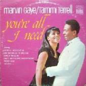 MARVIN GAYE & TAMMI TERRELL  - VINYL YOURE ALL I NEED [VINYL]