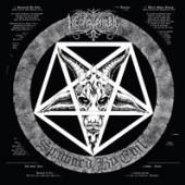  SPAWNED BY EVIL (PIC DISC) [VINYL] - supershop.sk