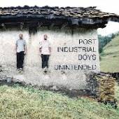 POST INDUSTRIAL BOYS  - VINYL UNINTENDED [VINYL]