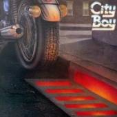 CITY BOY  - CD THE DAY THE EARTH CAUGHT