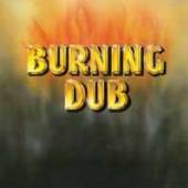 REVOLUTIONARIES  - CD BURNING DUB