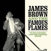 BROWN JAMES & THE FAMOUS  - 2xCD ROOTS OF REVOLUTION
