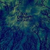DEAD CONFEDERATE  - VINYL IN THE MARROW [VINYL]