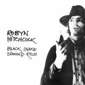 HITCHCOCK ROBYN  - CD BLACK SNAKE DIAMOND ROLE